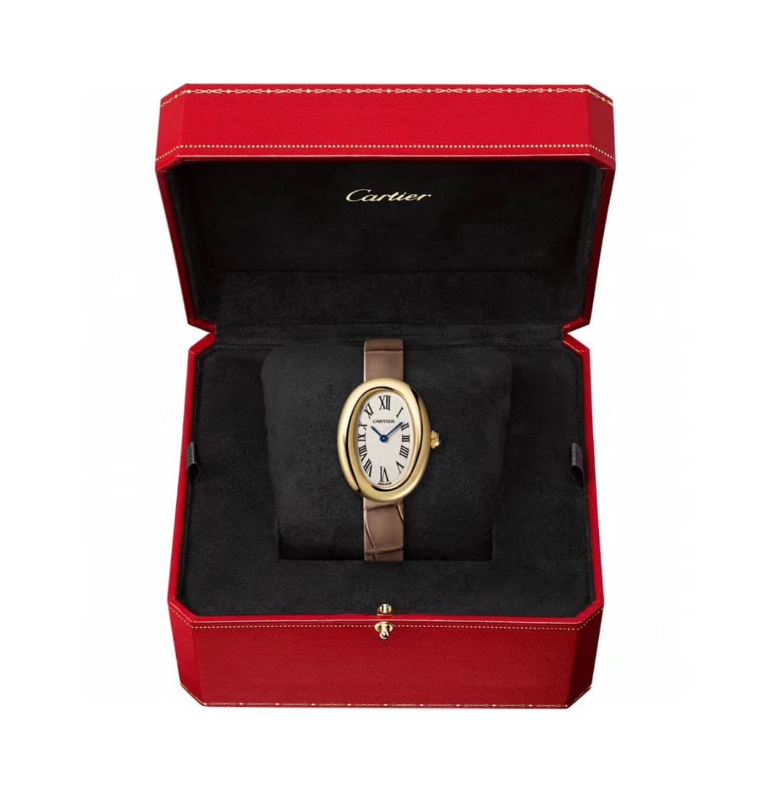 Cartier Watch