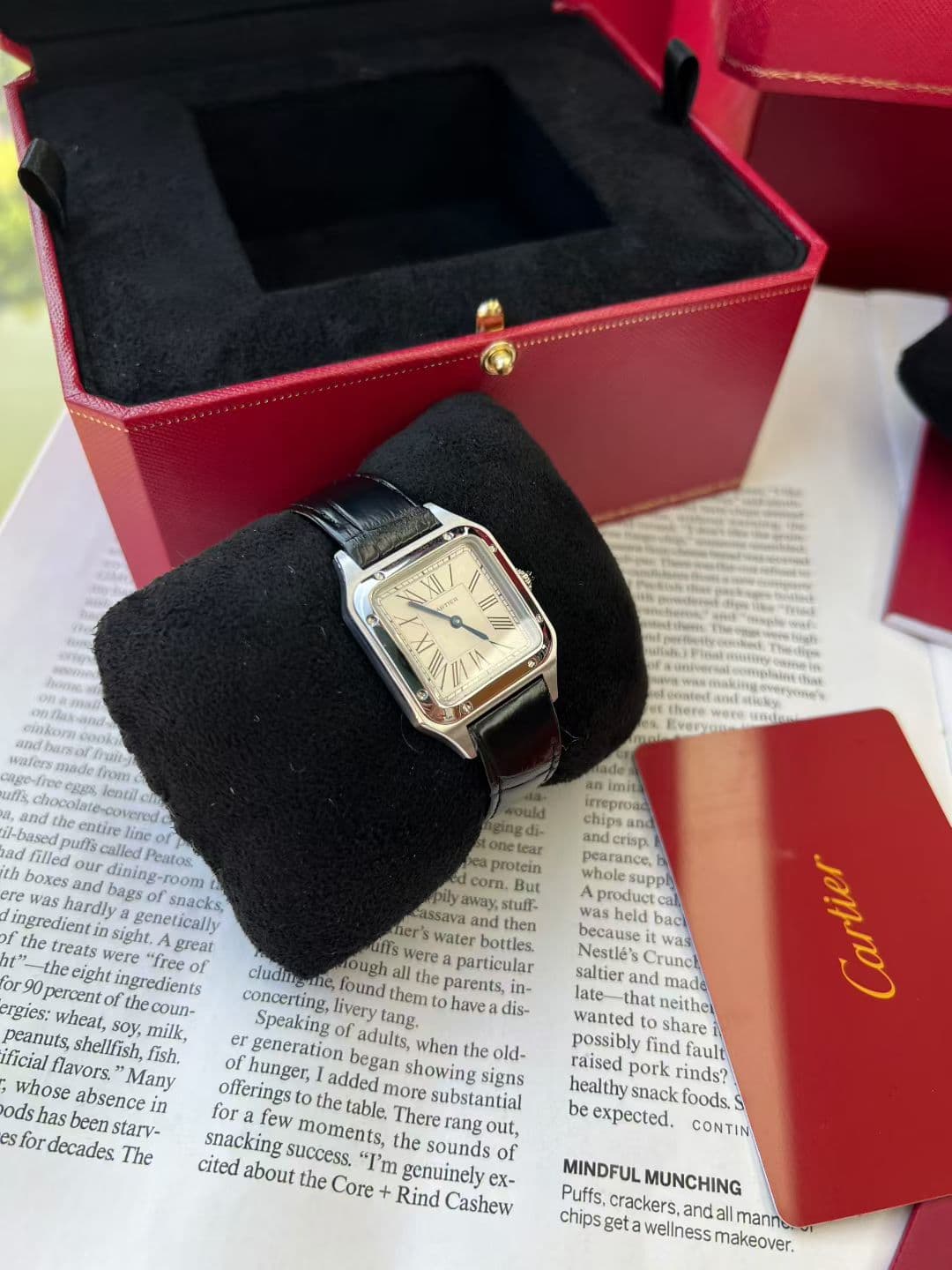 Cartier Blue Watch