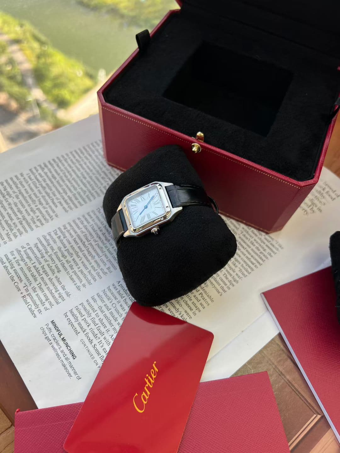 Cartier Blue Watch