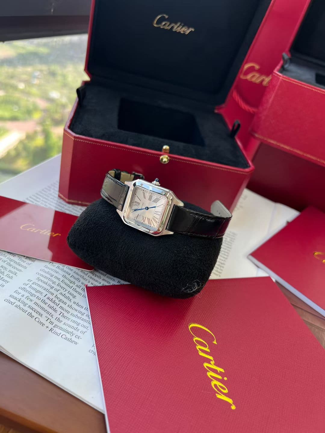 Cartier Blue Watch