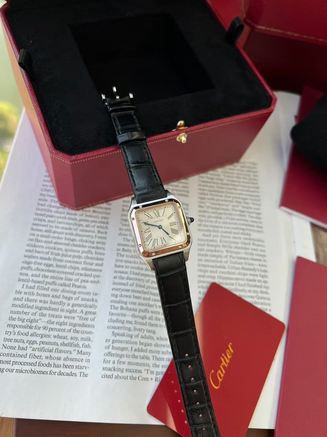 Cartier Blue Watch