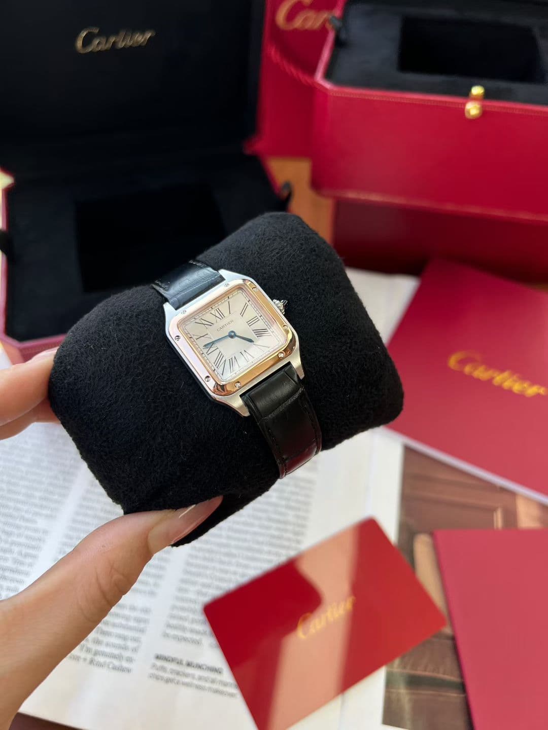 Cartier Blue Watch
