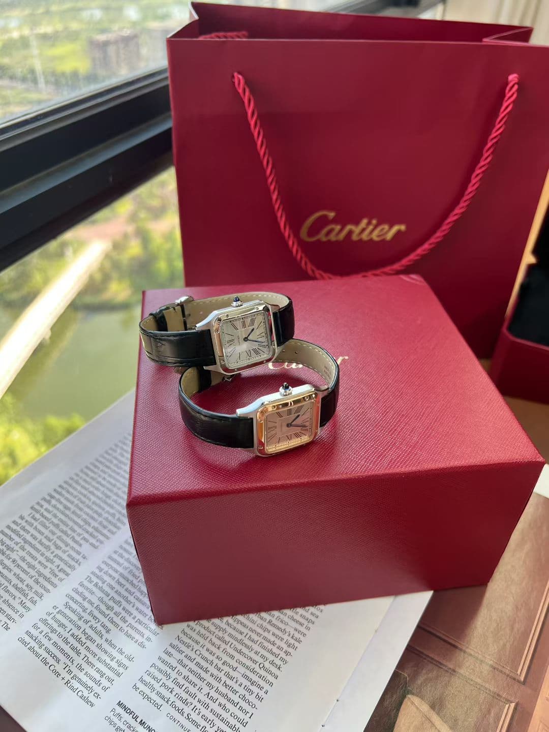 Cartier Blue Watch