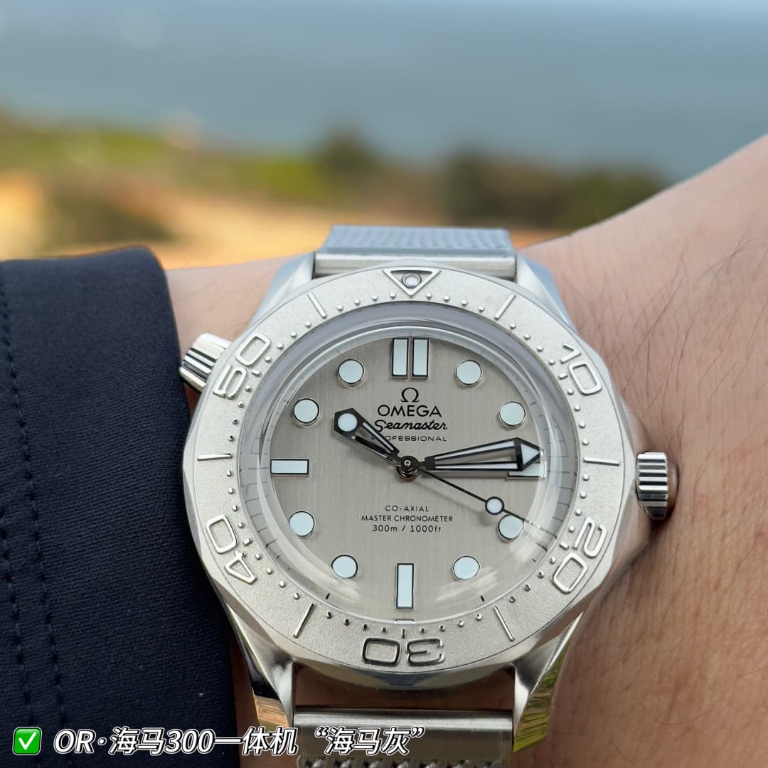 Luxury Brand Grey Watch