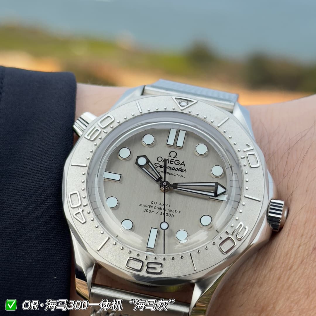 Luxury Watch Grey Watch