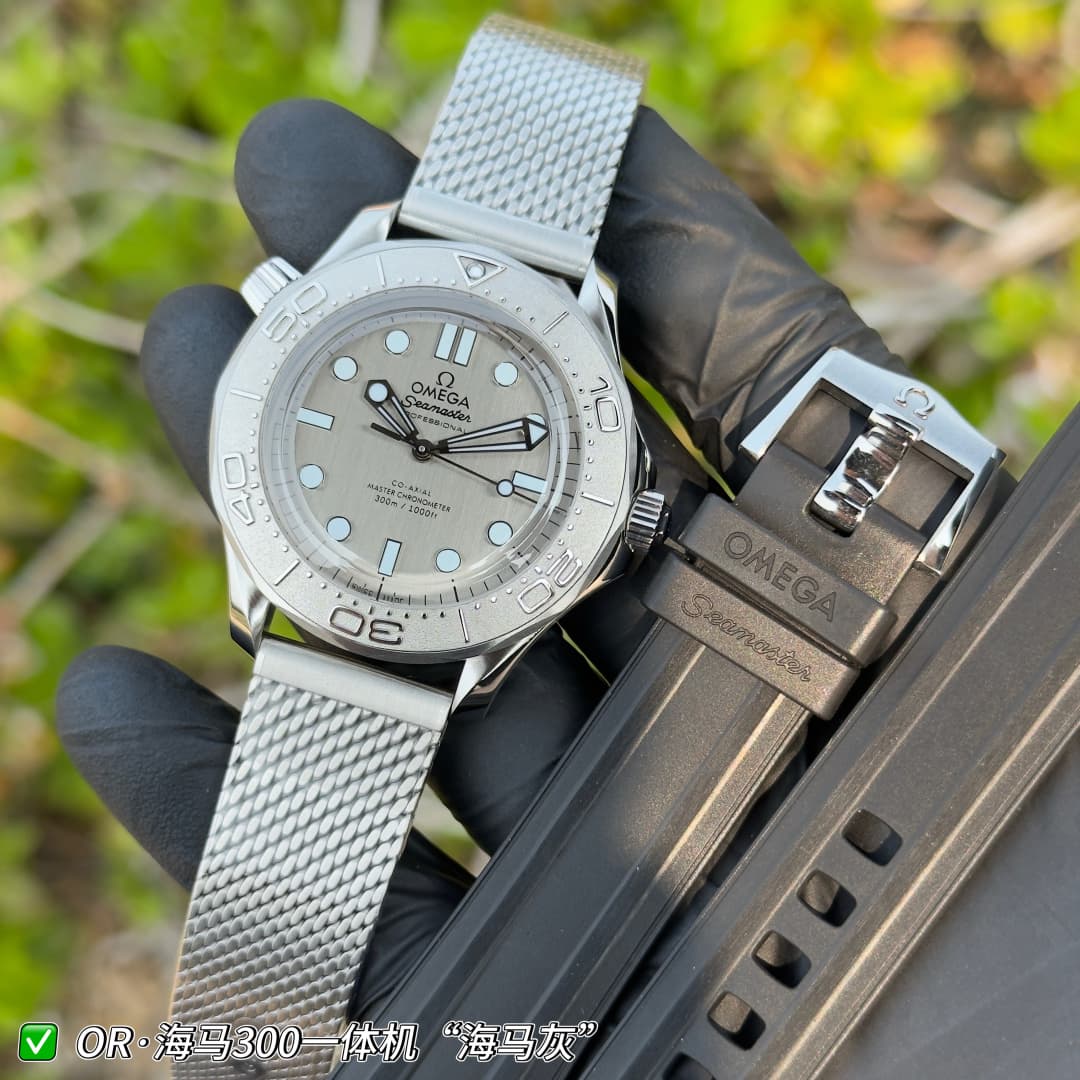 Luxury Watch Grey Watch