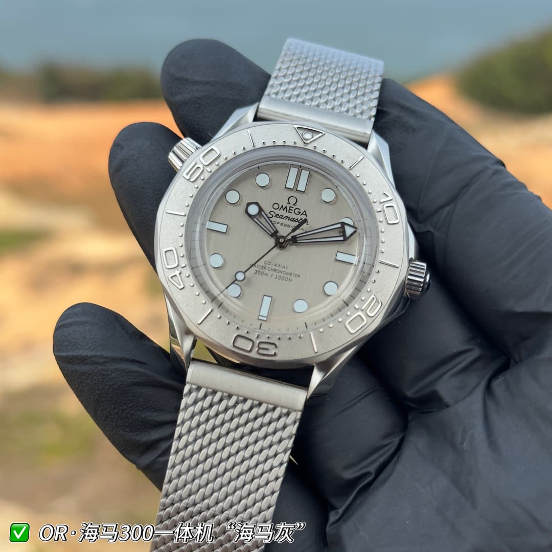Luxury Watch Grey Watch