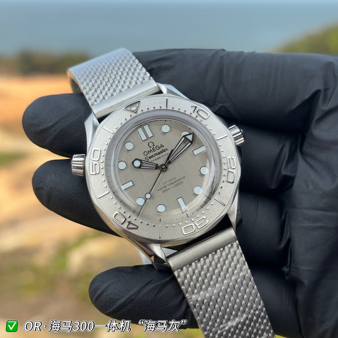 Luxury Watch Grey Watch