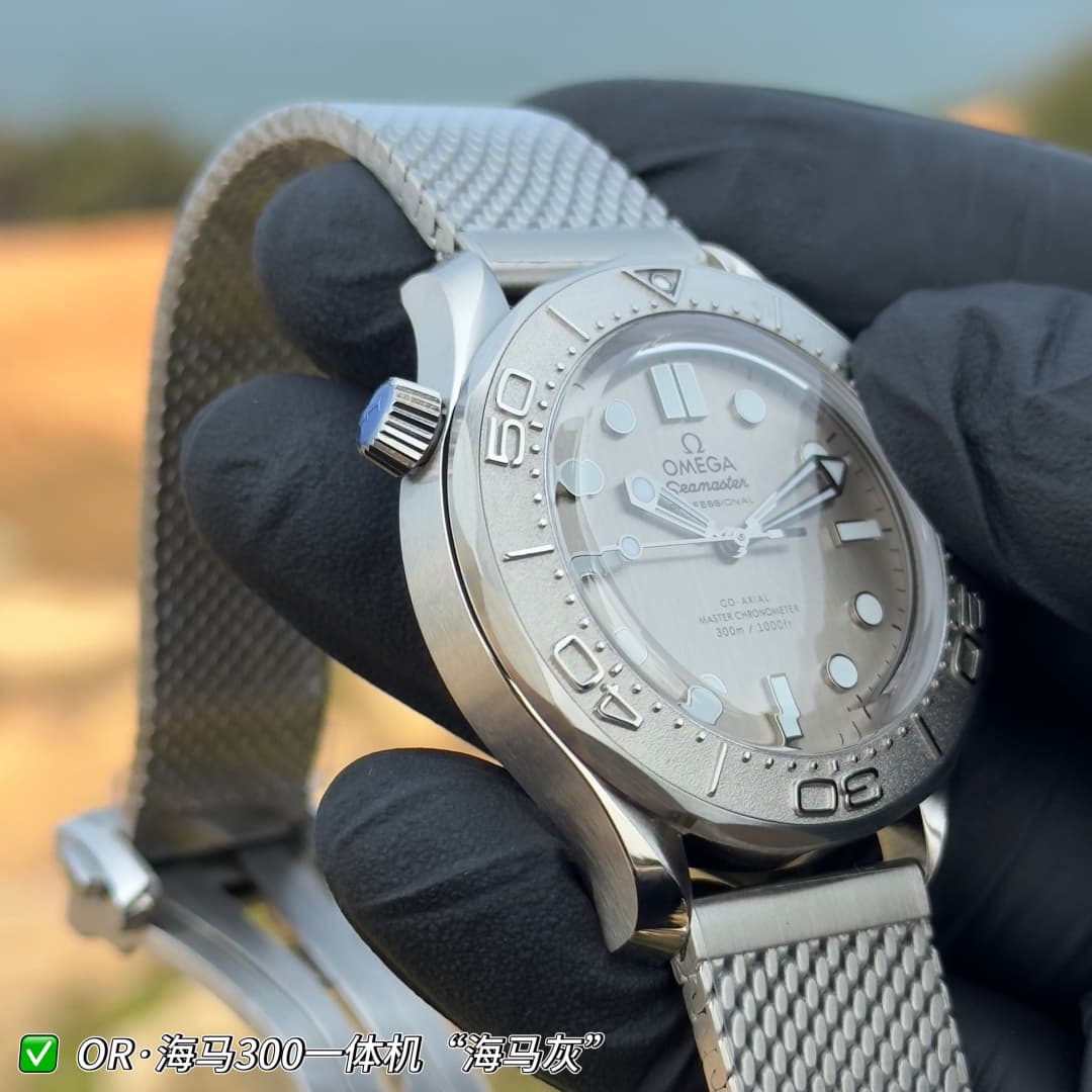 Luxury Watch Grey Watch