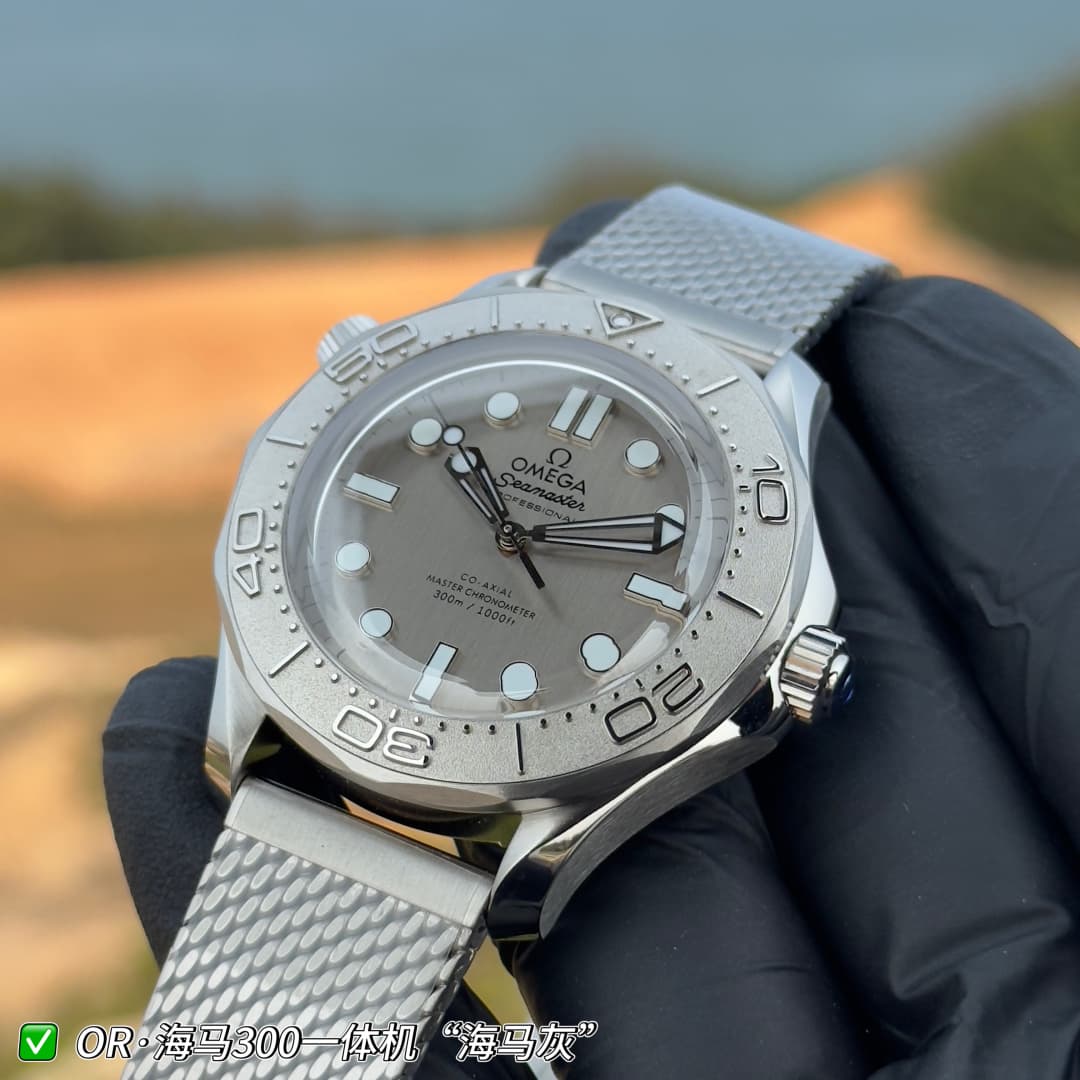 Luxury Watch Grey Watch