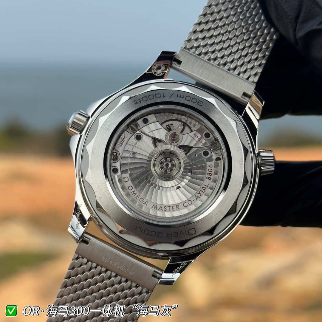 Luxury Watch Grey Watch