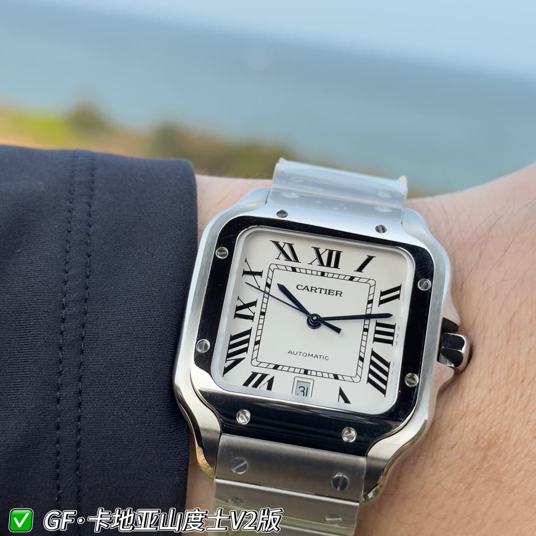 Luxury Watch Belt