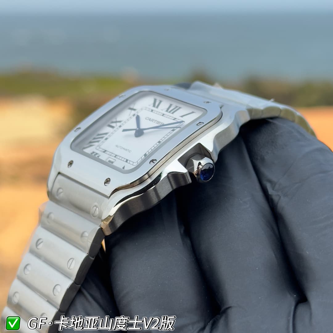 Luxury Watch Belt