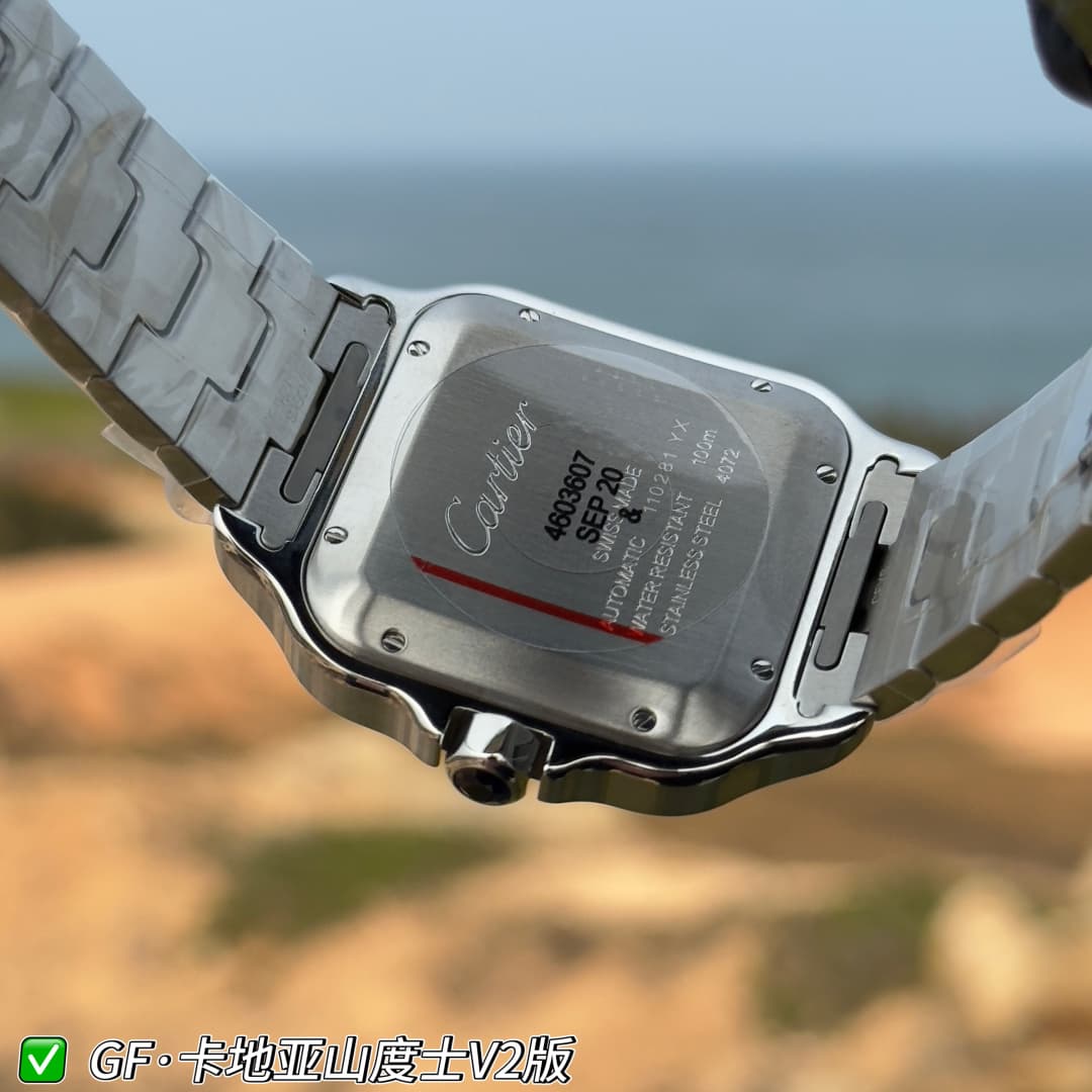 Luxury Watch Belt