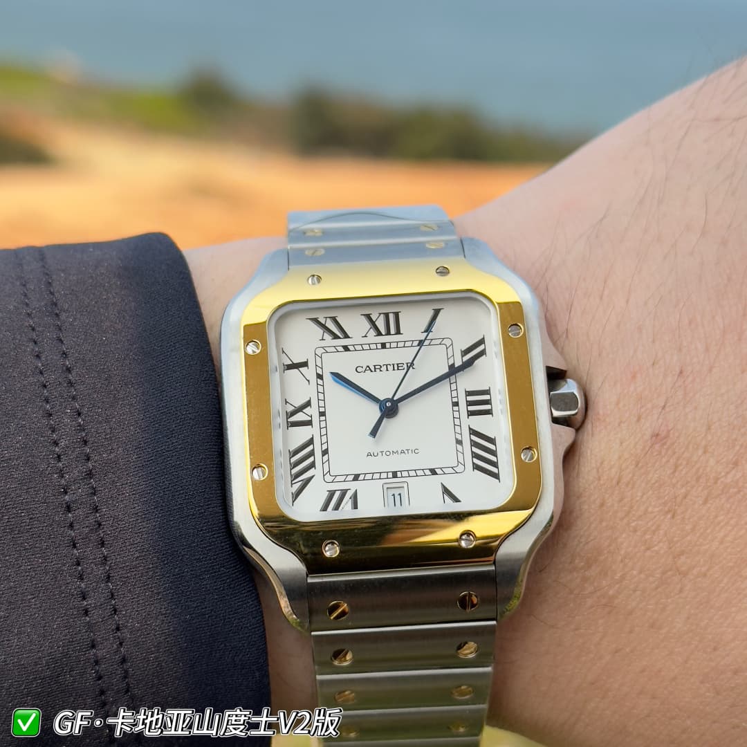 Luxury Watch Belt