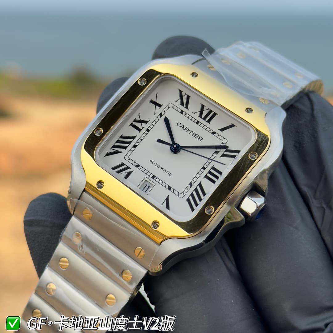 Luxury Watch Belt