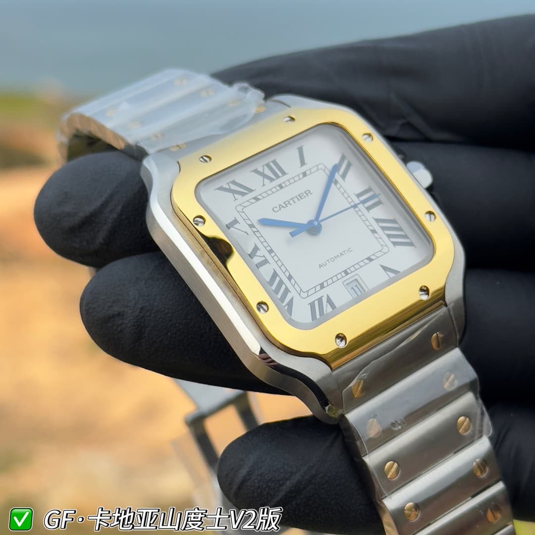 Luxury Watch Belt