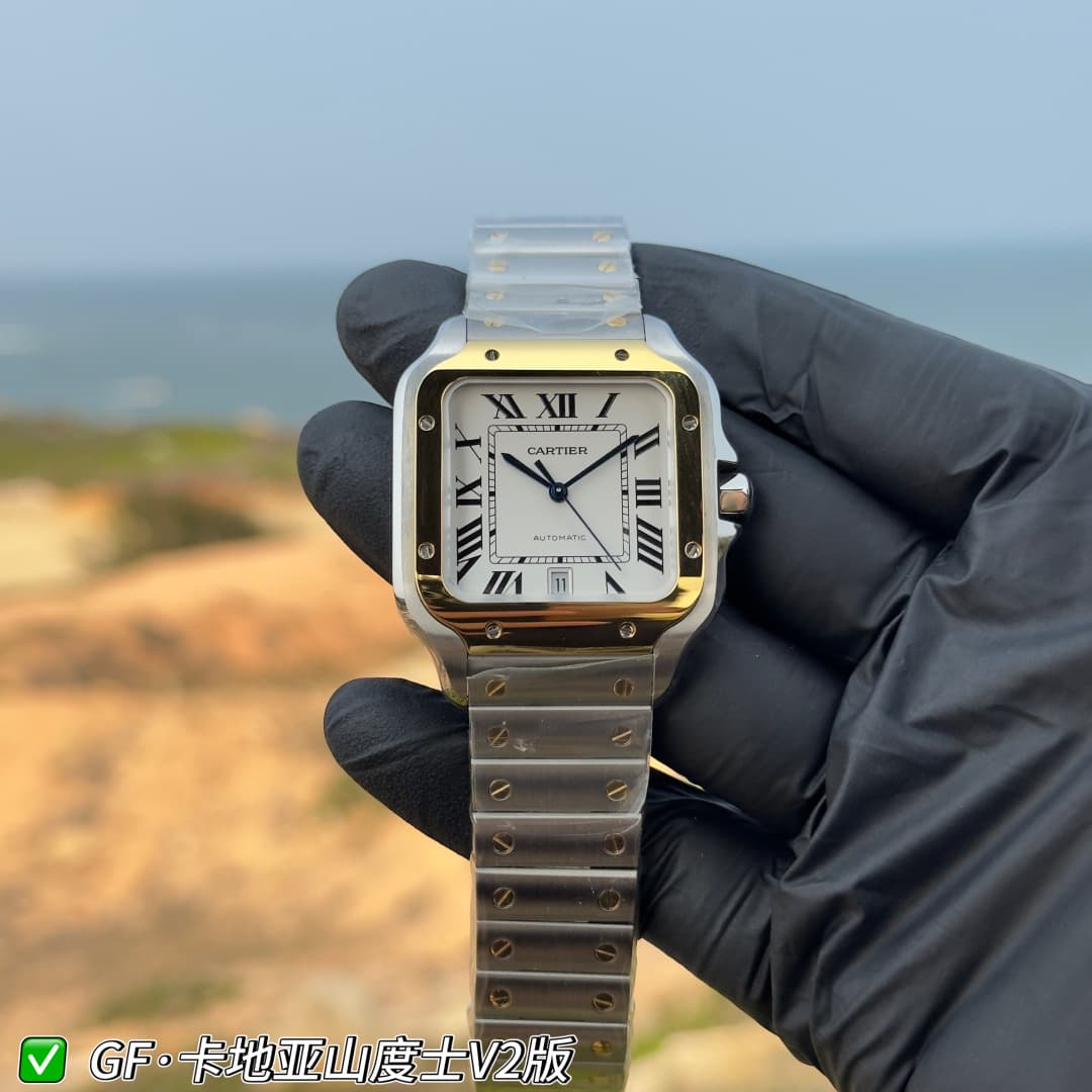 Luxury Watch Belt