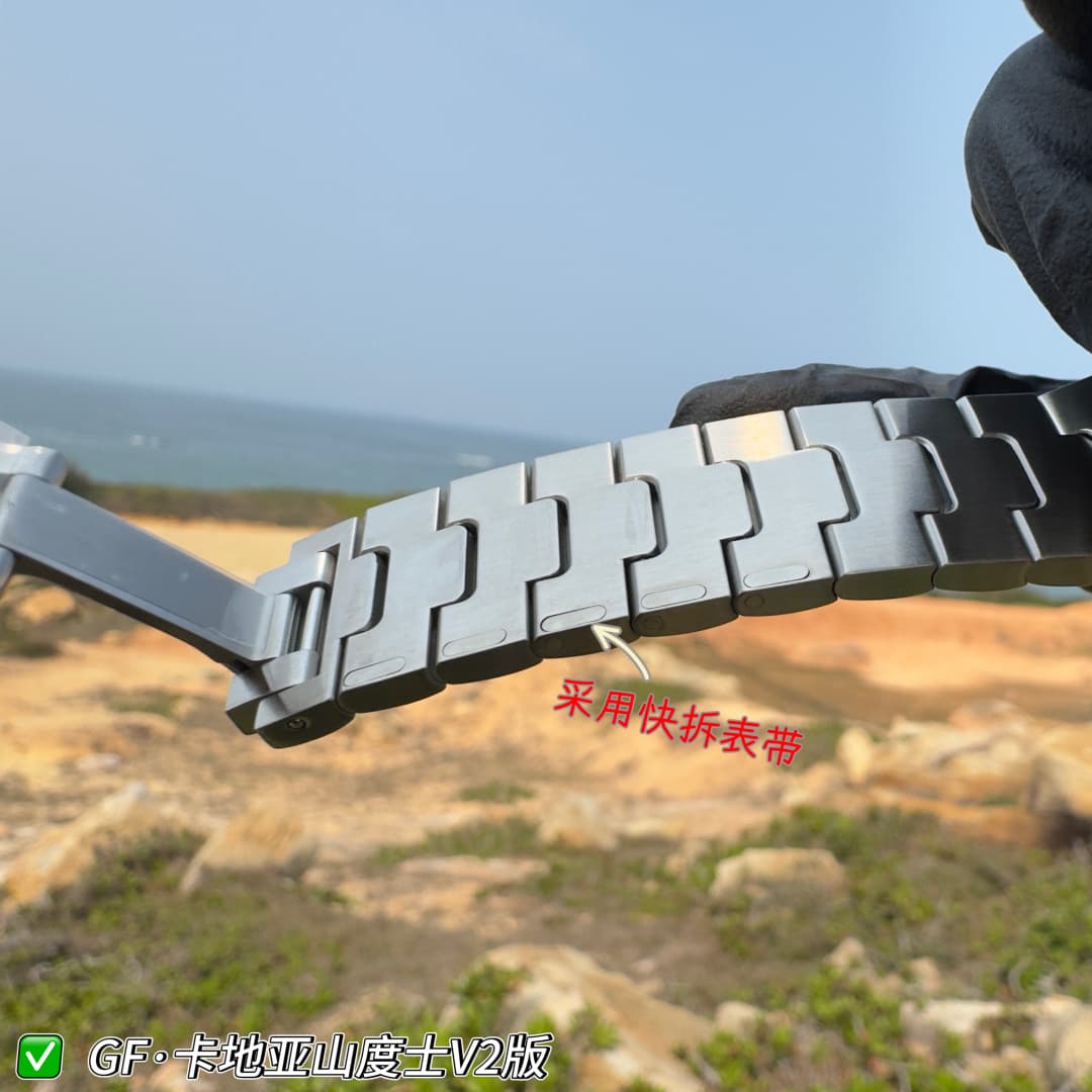 Luxury Watch Belt