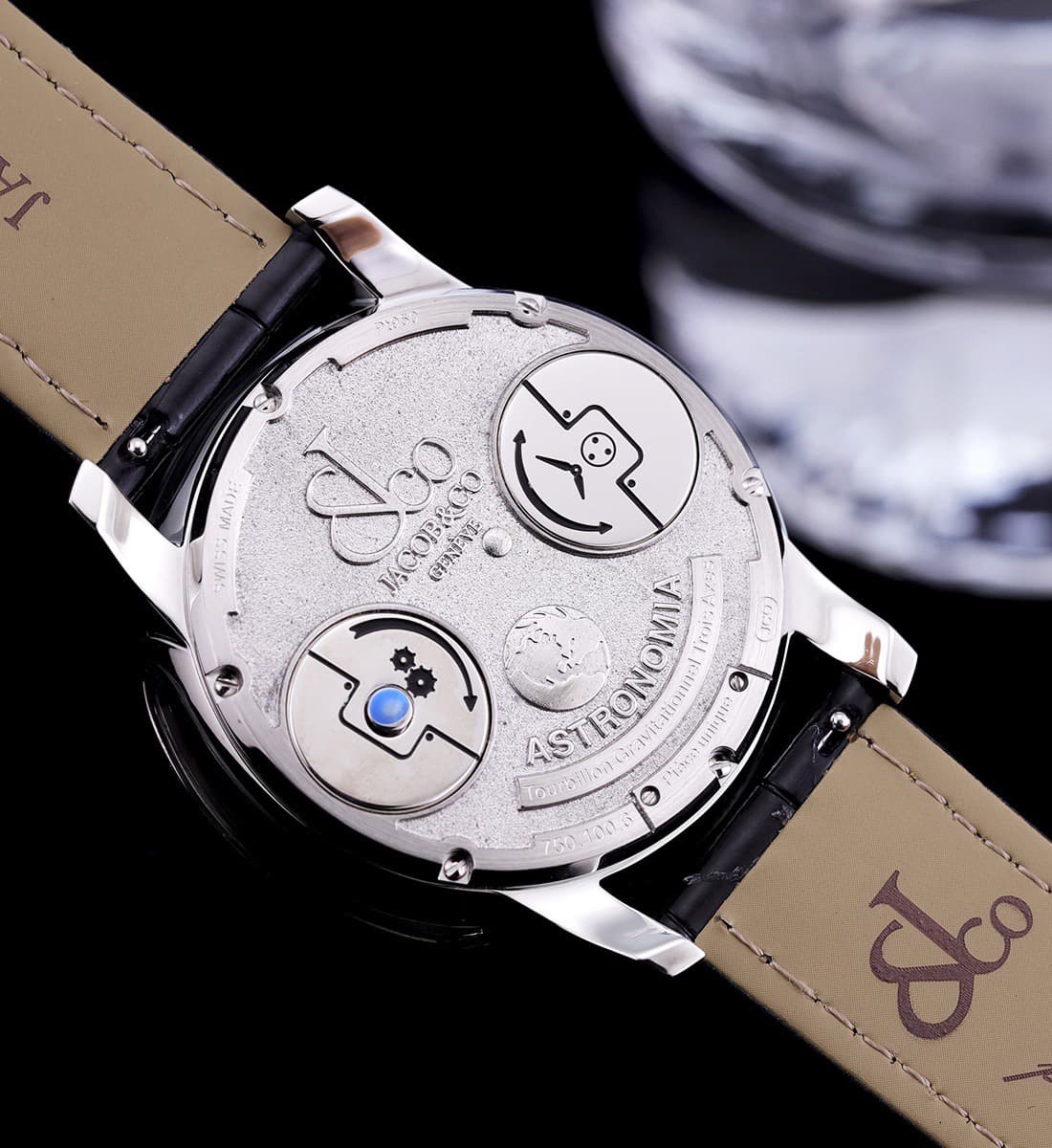 Luxury Watch Bag