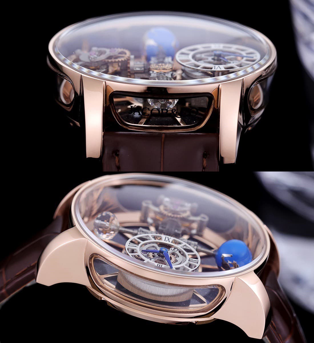 Luxury Watch Bag