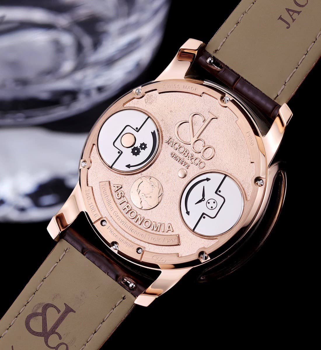 Luxury Watch Bag