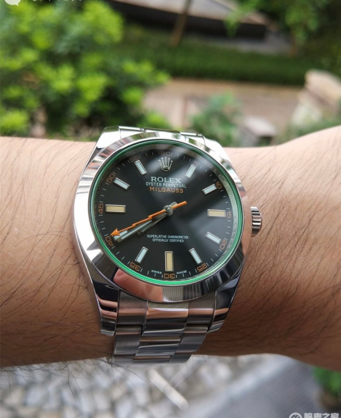 Rolex Black Watch