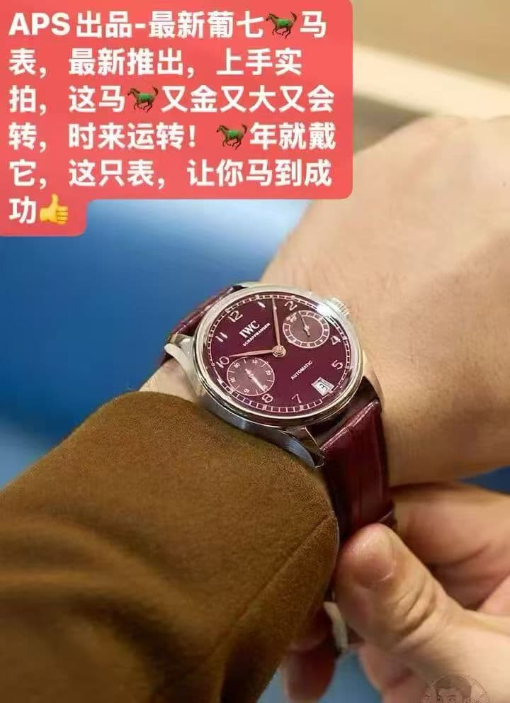 IWC Watch