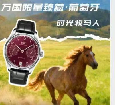 IWC Watch