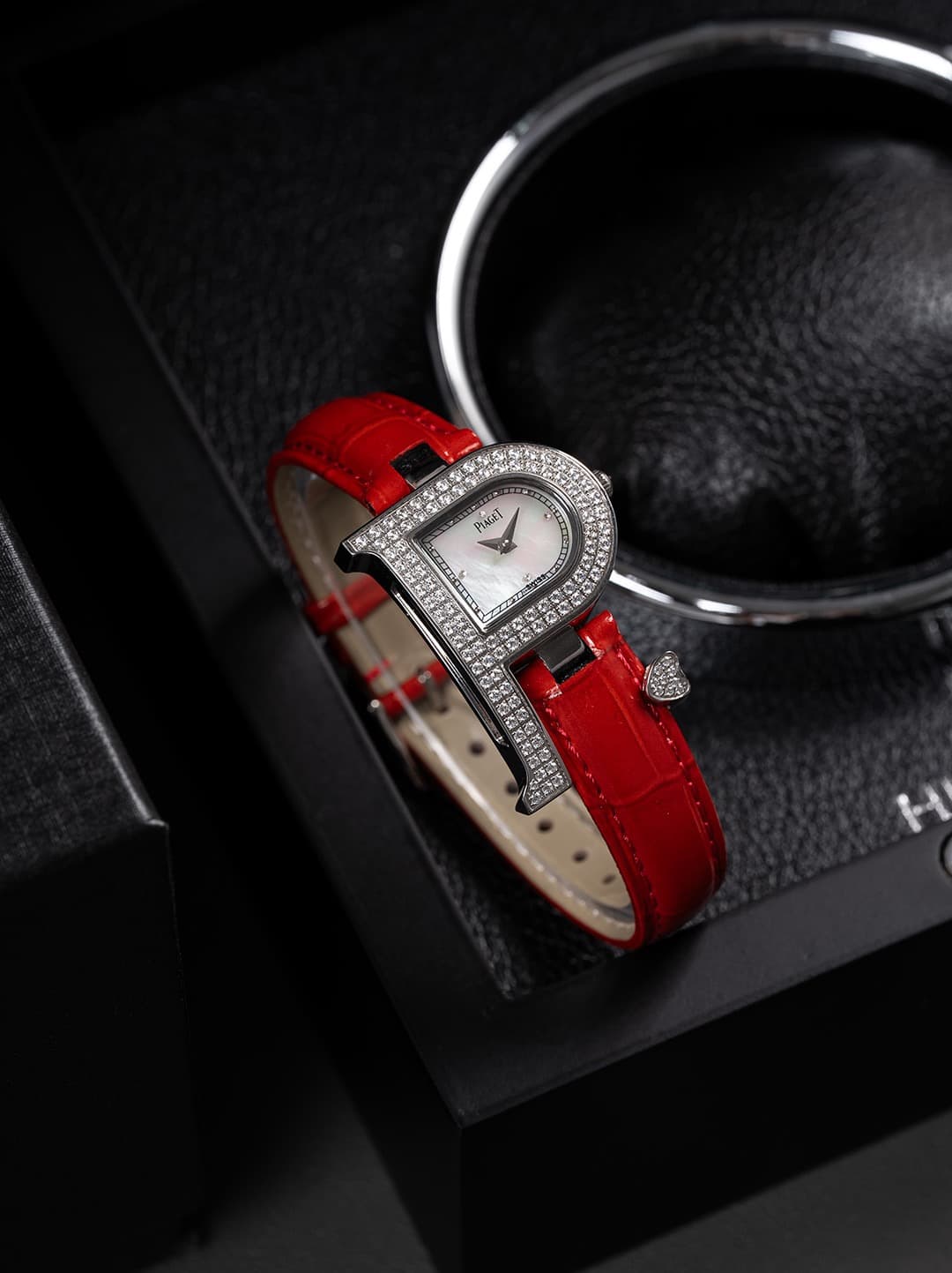 Luxury Watch Bag