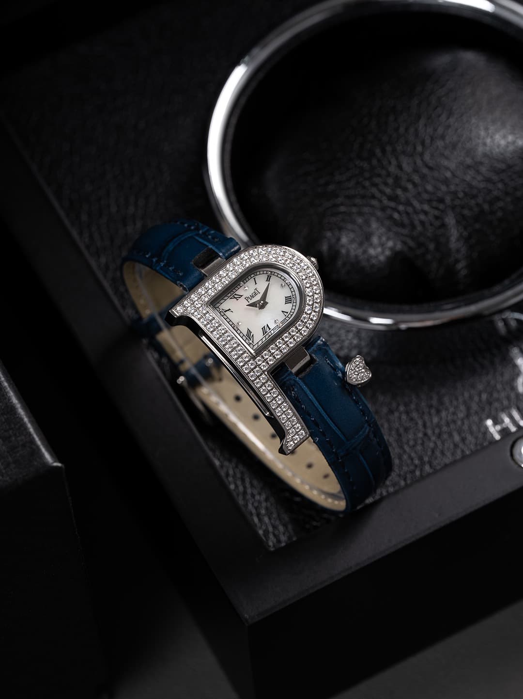 Luxury Watch Bag