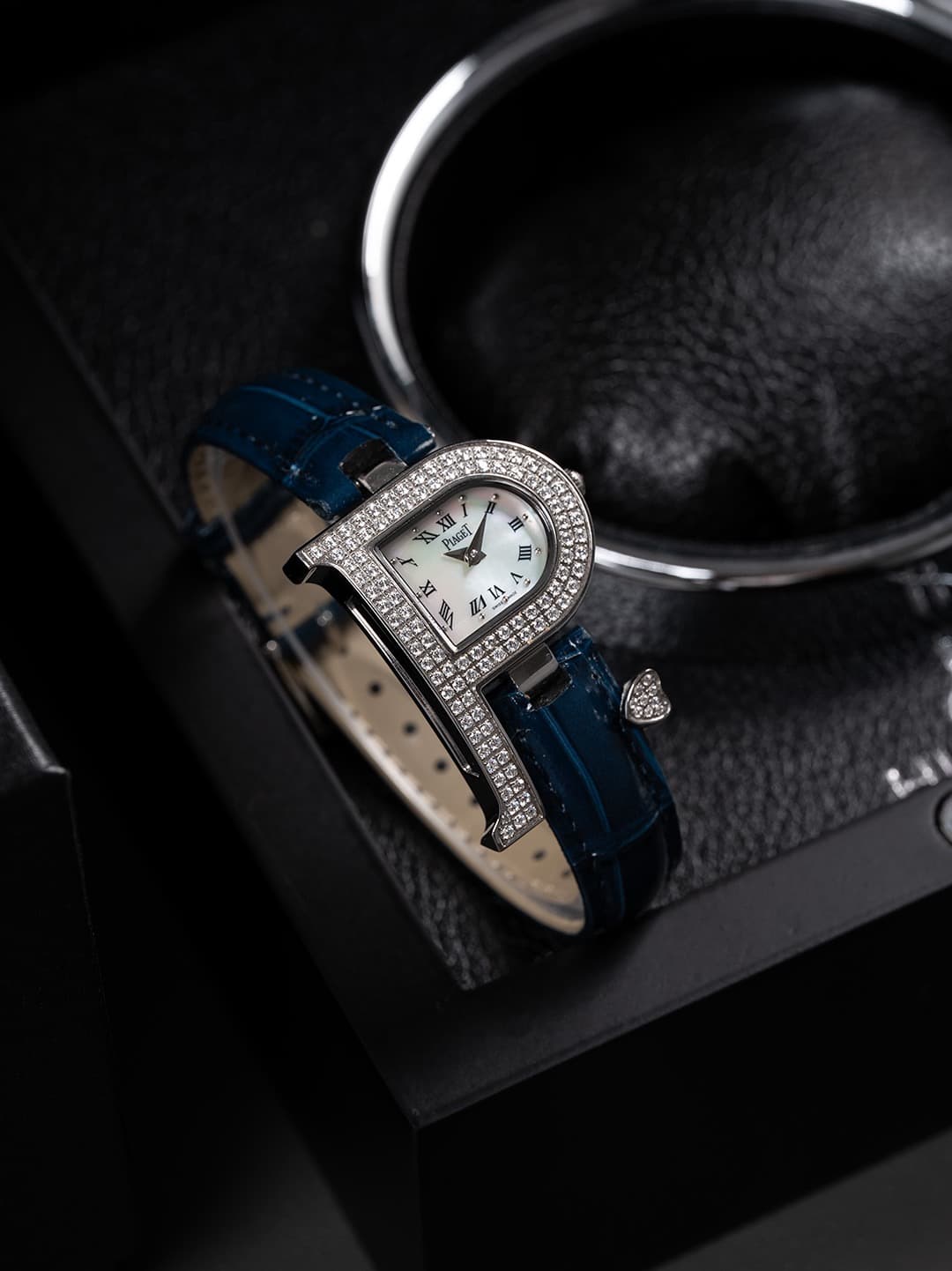 Luxury Watch Bag