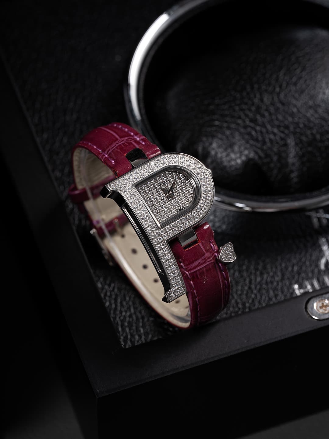 Luxury Watch Bag