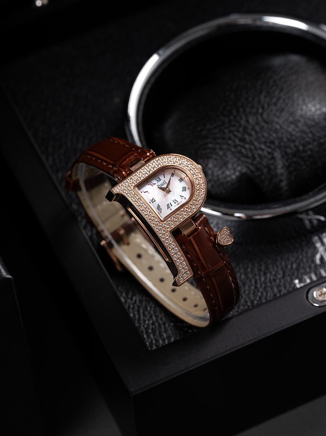 Luxury Watch Bag
