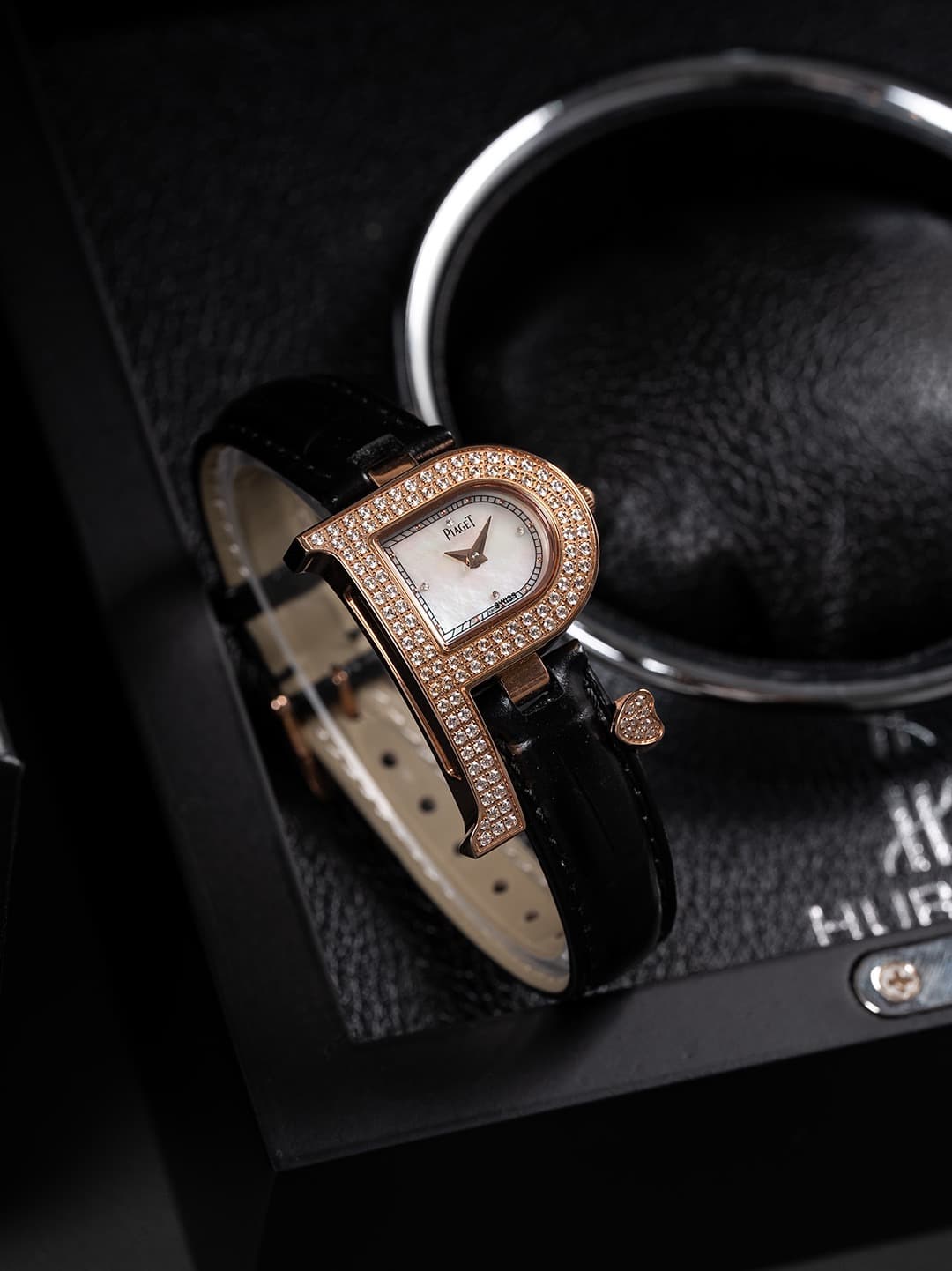 Luxury Watch Bag
