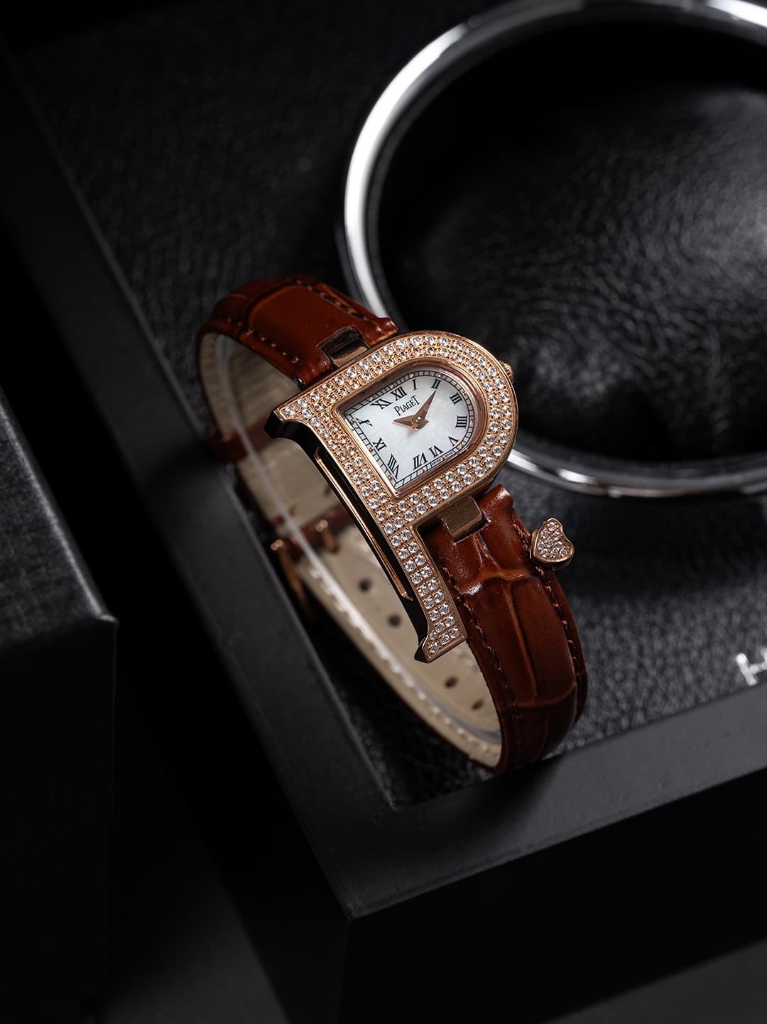 Luxury Watch Bag
