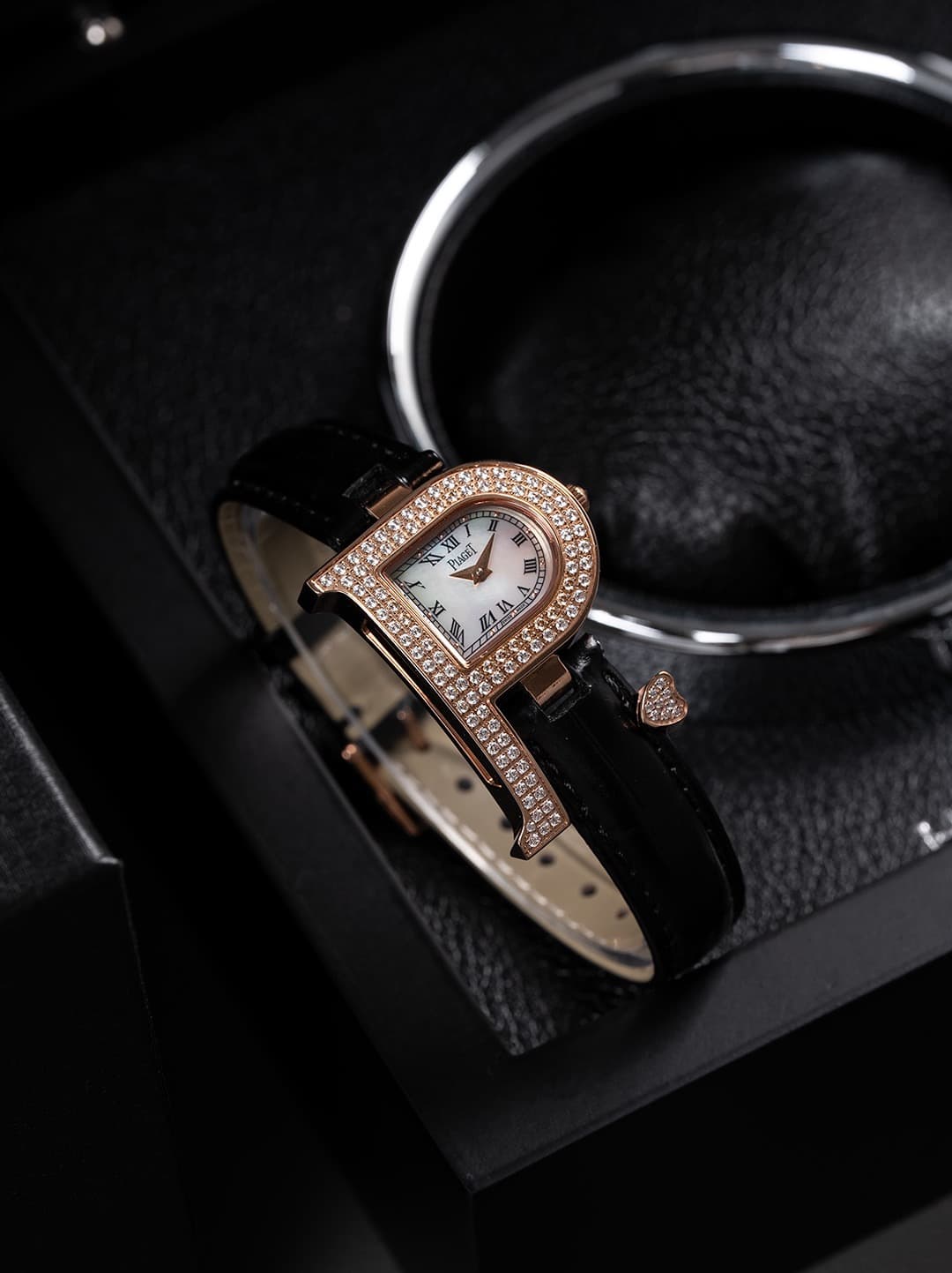 Luxury Watch Bag