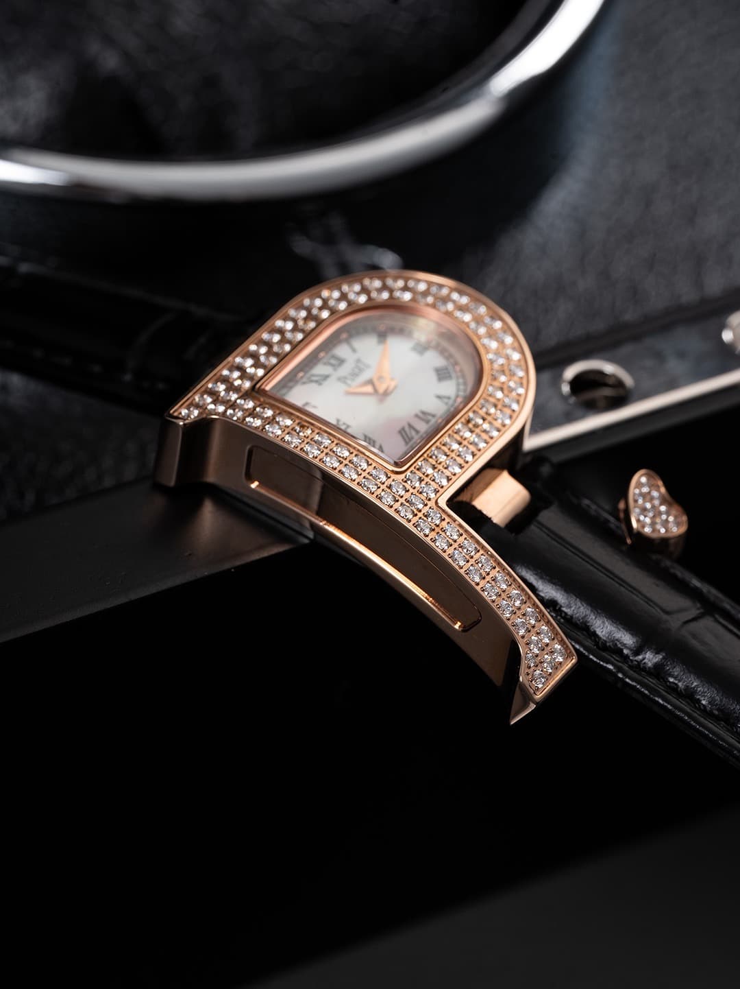 Luxury Watch Bag