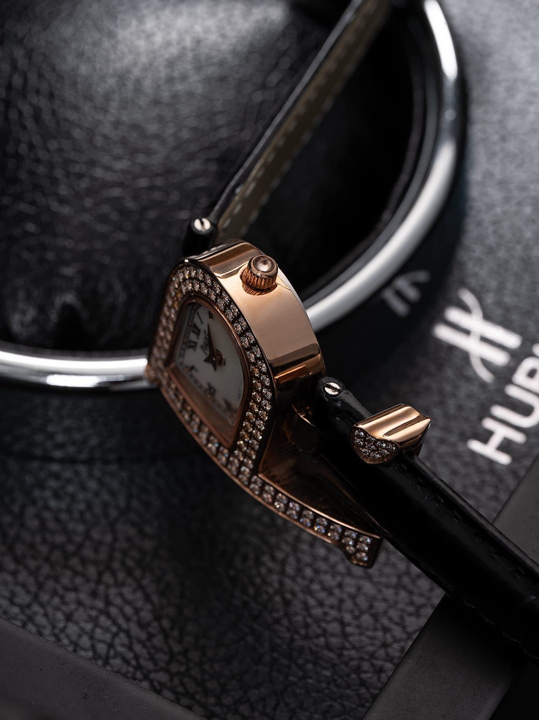 Luxury Watch Bag