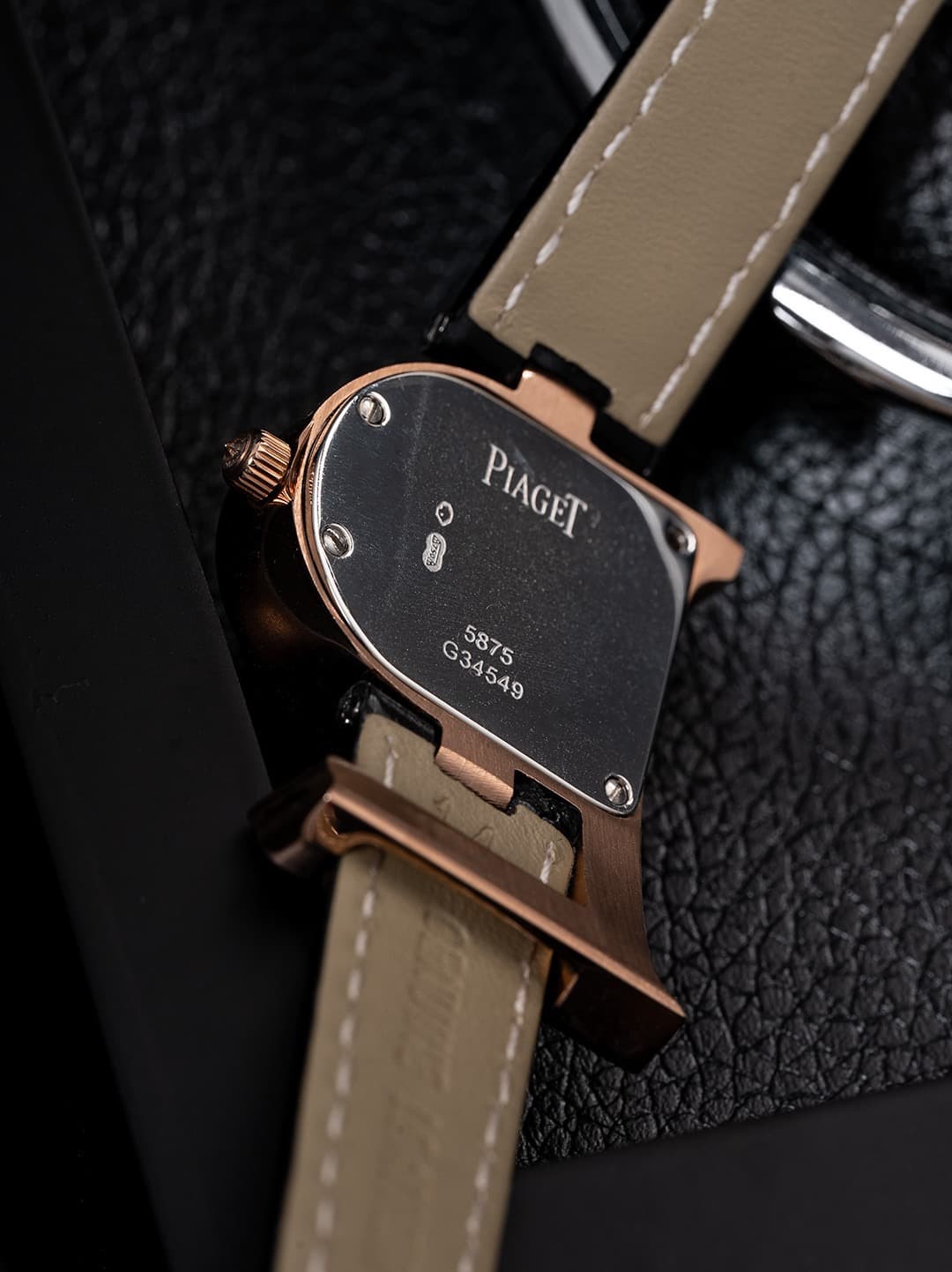 Luxury Watch Bag