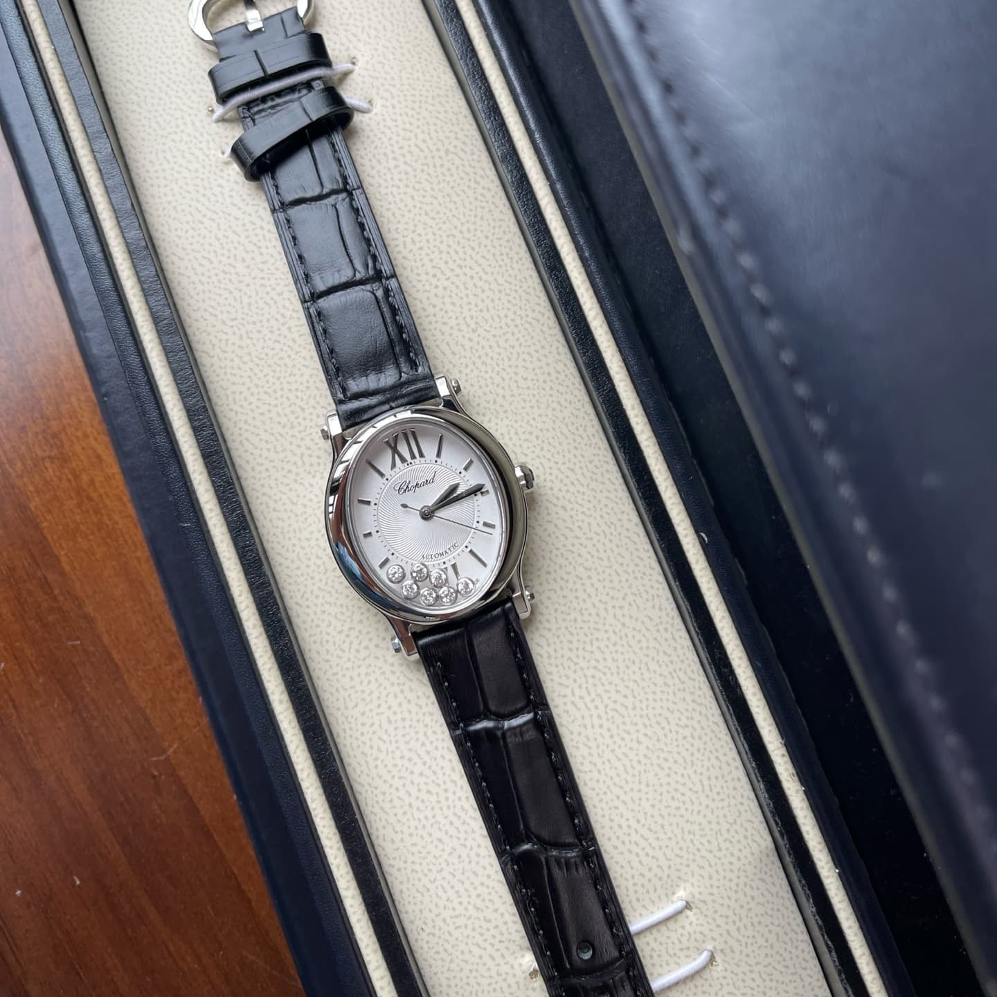 Luxury Watch Belt