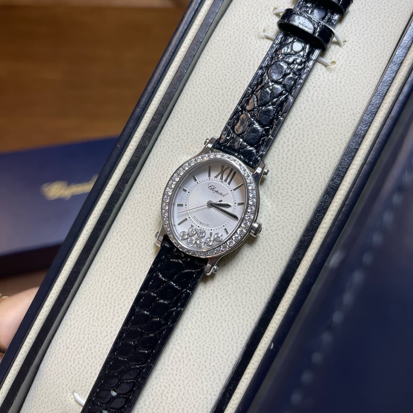 Luxury Watch Belt