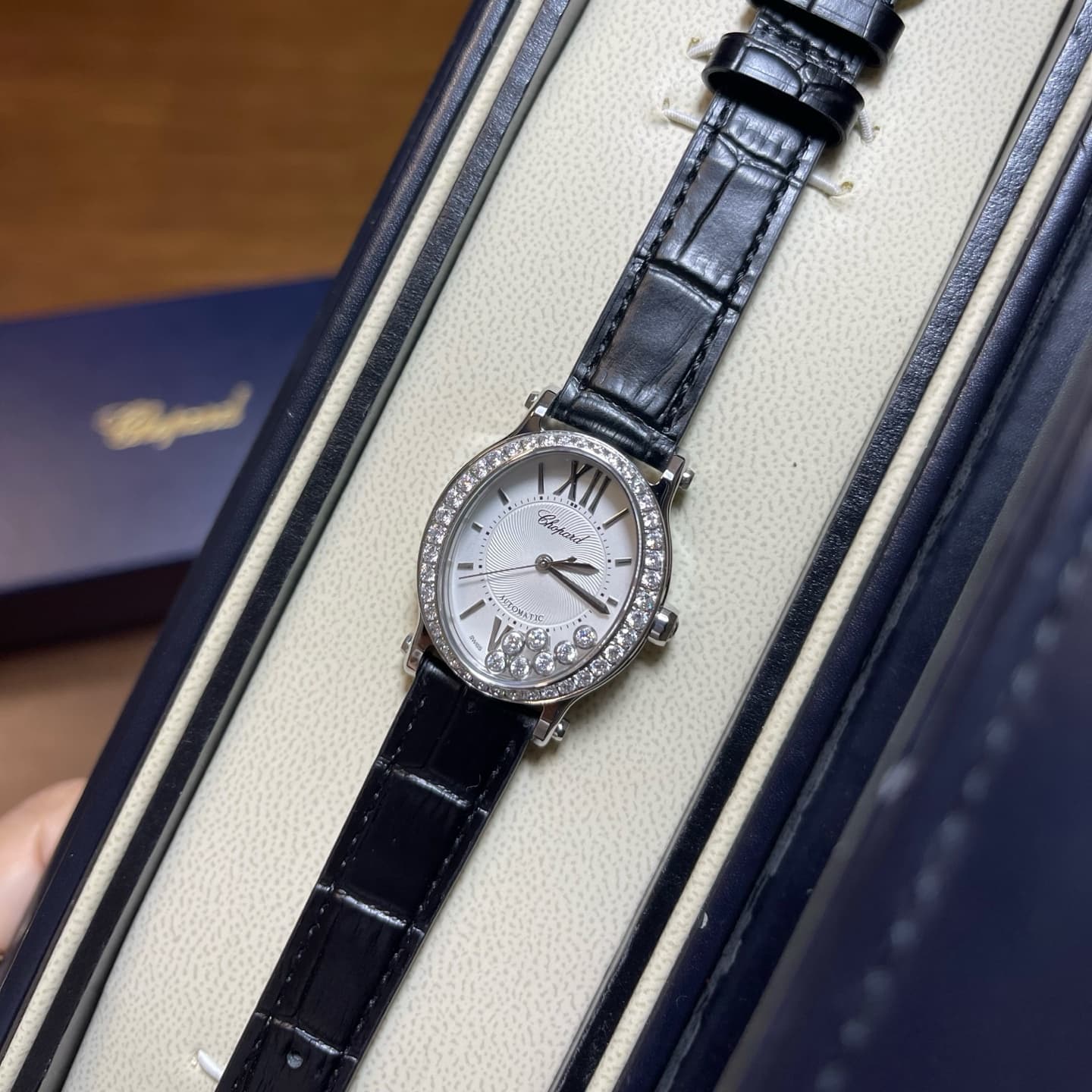 Luxury Watch Belt