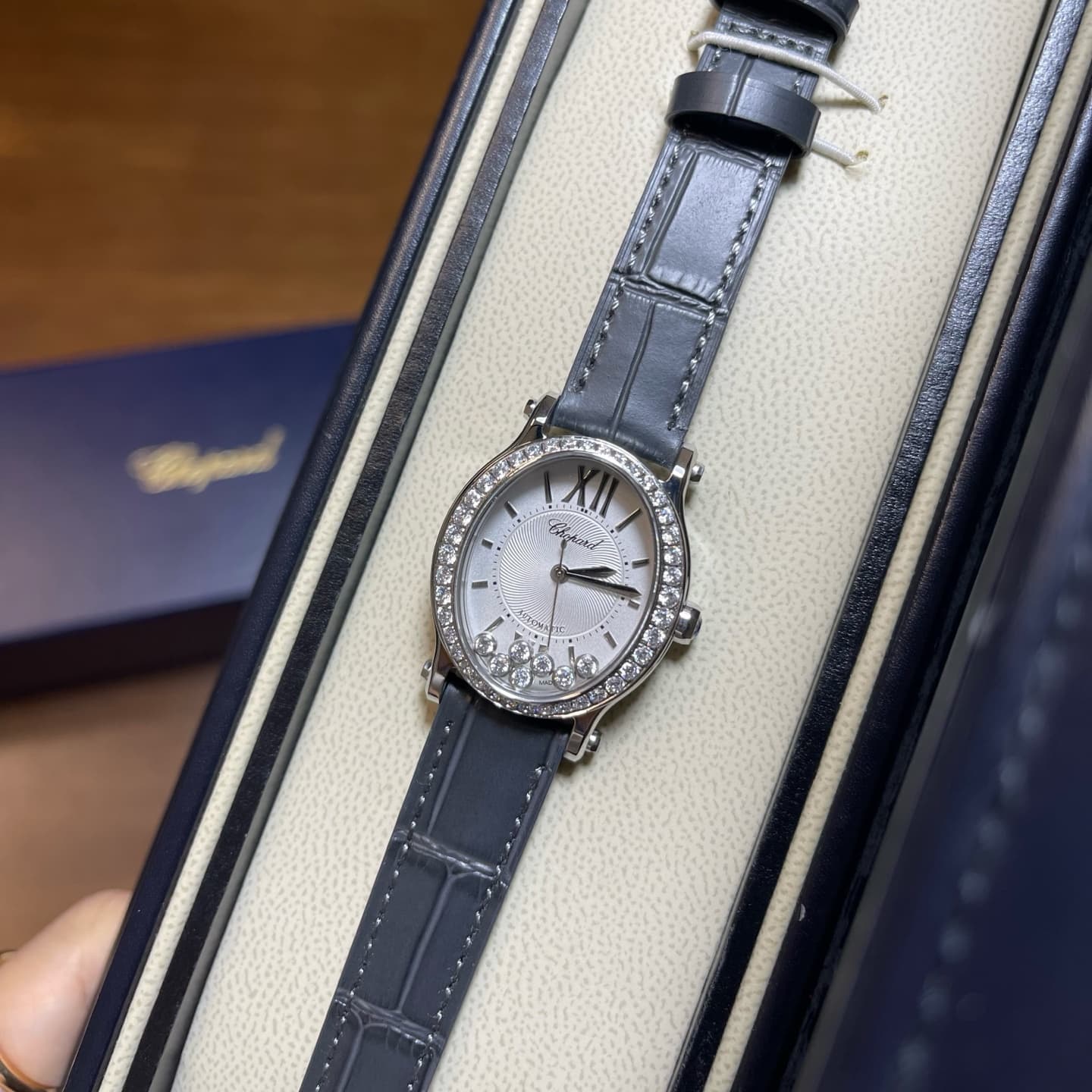 Luxury Watch Belt
