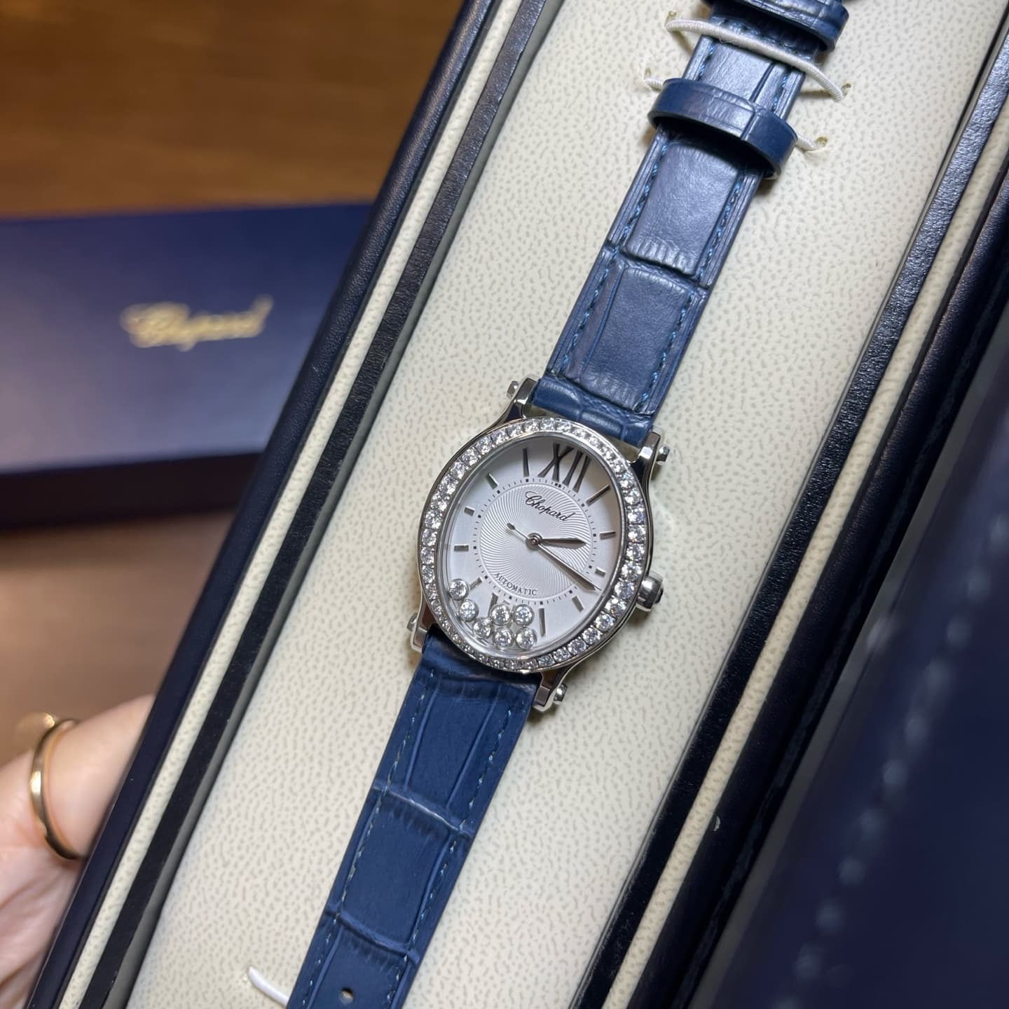 Luxury Watch Belt