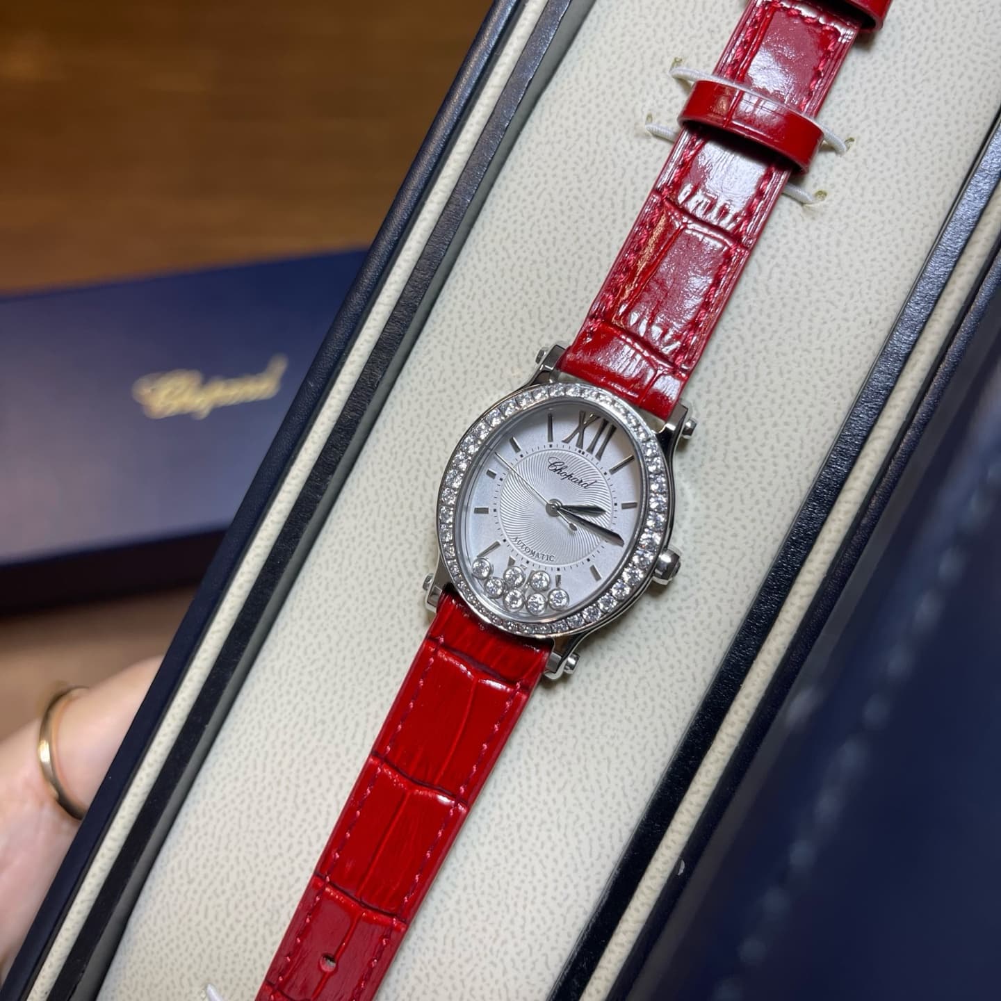 Luxury Watch Belt