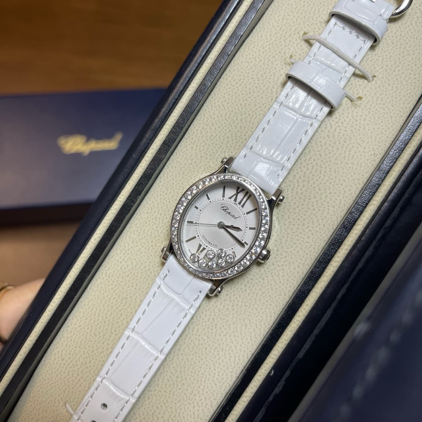 Luxury Watch Belt