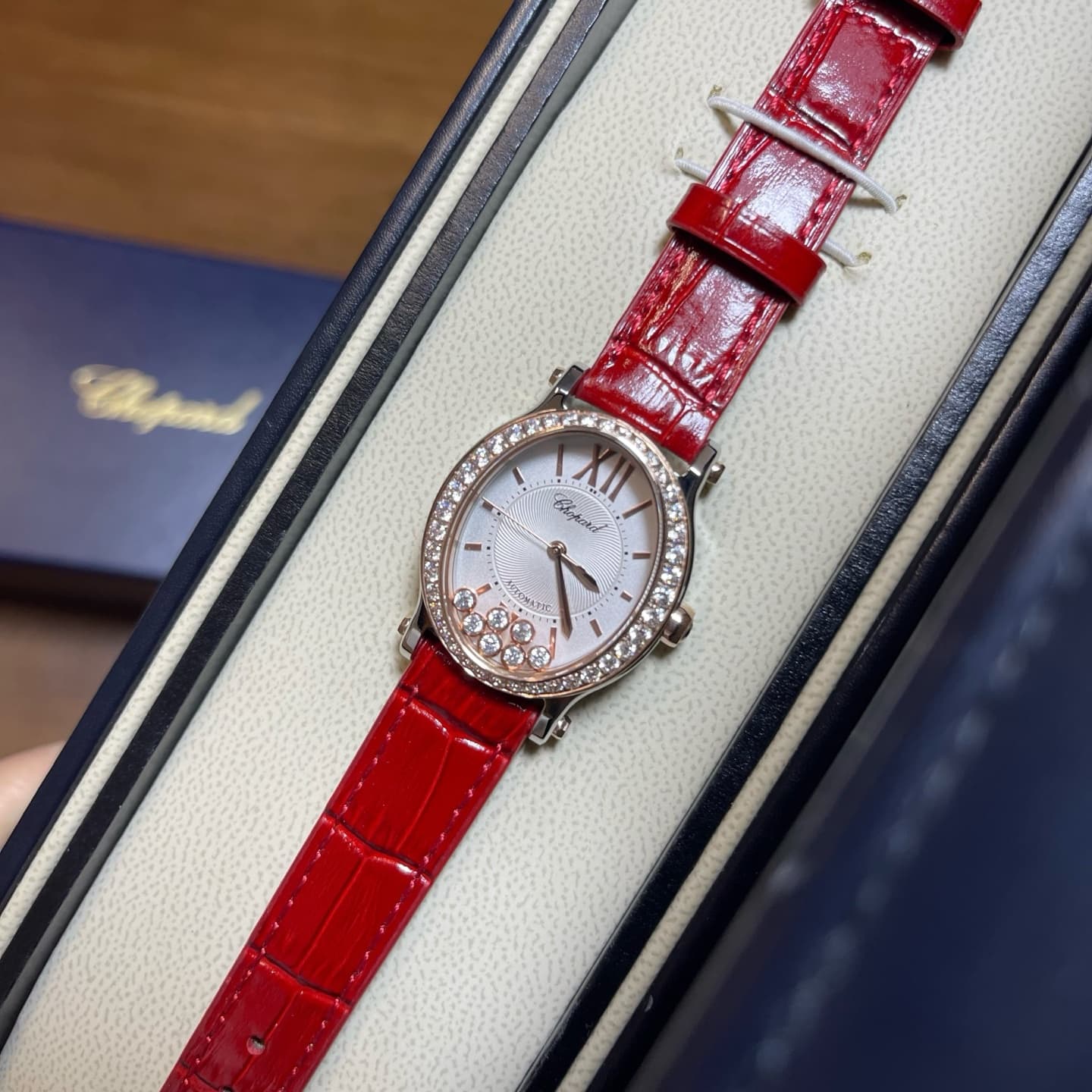 Luxury Watch Belt
