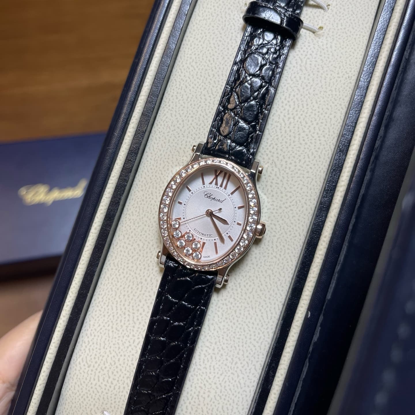 Luxury Watch Belt