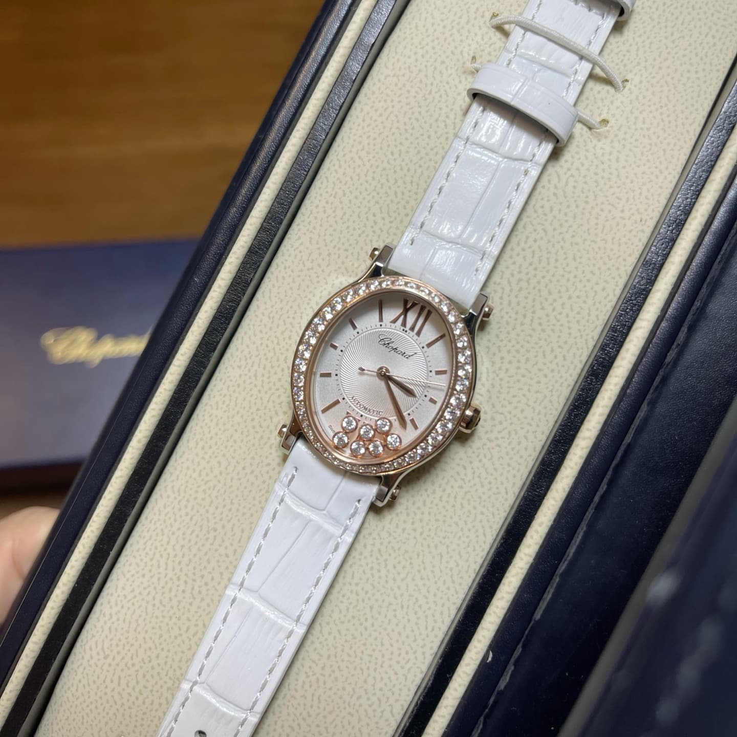 Luxury Watch Belt